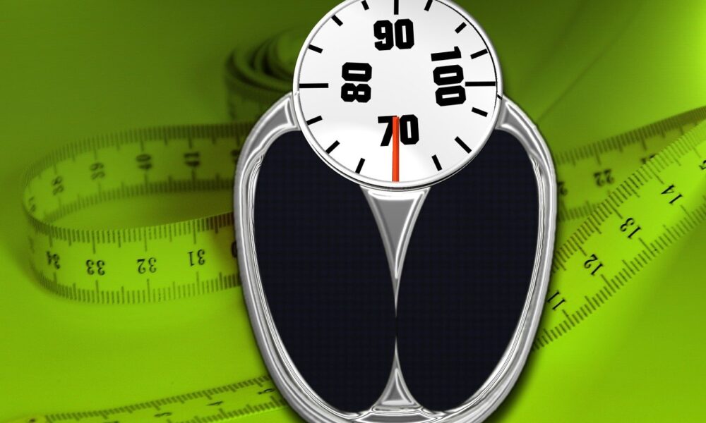 BODY FAT PERCENTAGE